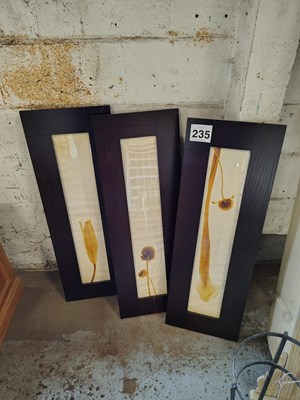 Lot 235 - Flowers Ornament Pictures with Frames x 3